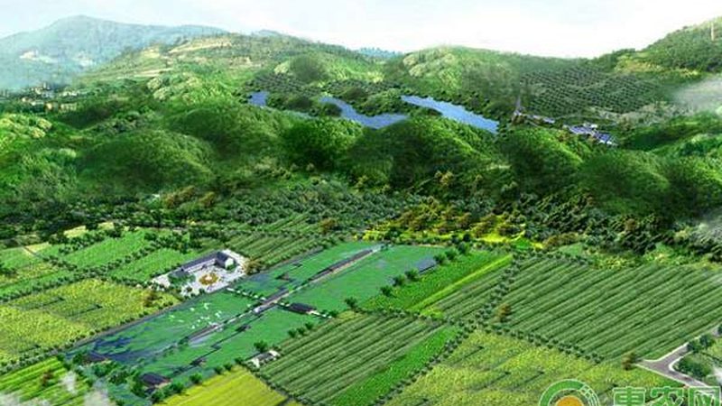 农产品配送系统：构建高效供应链的秘密武器