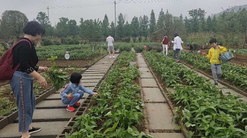 农产品代理加盟：如何挑选优质产品，规避市场风险**