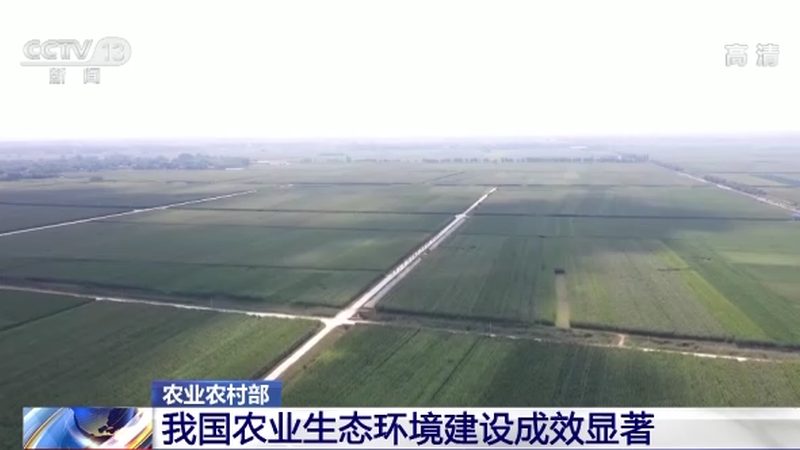 果蔬冷链物流哪家好？揭秘冷链物流的关键要素