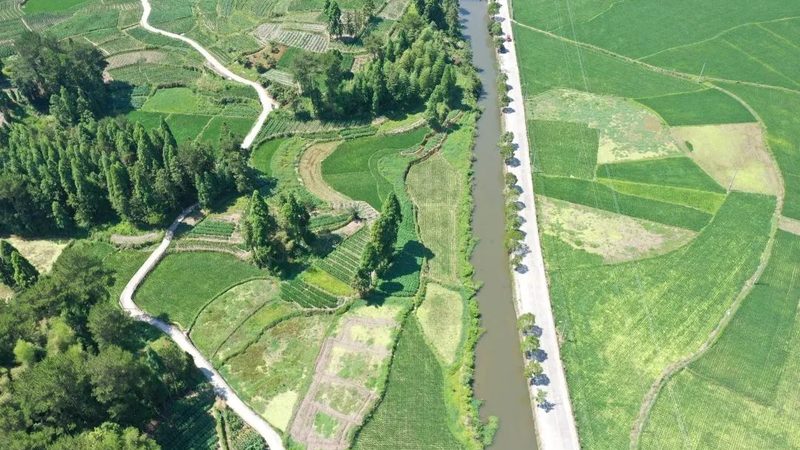 农产品批发代理：如何抓住市场脉搏，实现盈利增长**