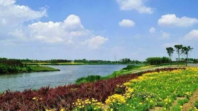 农业机械价格表背后藏着哪些门道