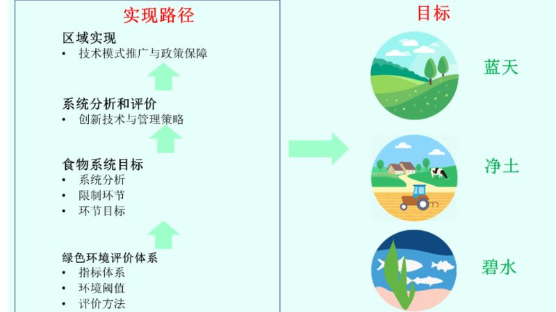 绿色食品包装背后的秘密：与普通食品的区别解析