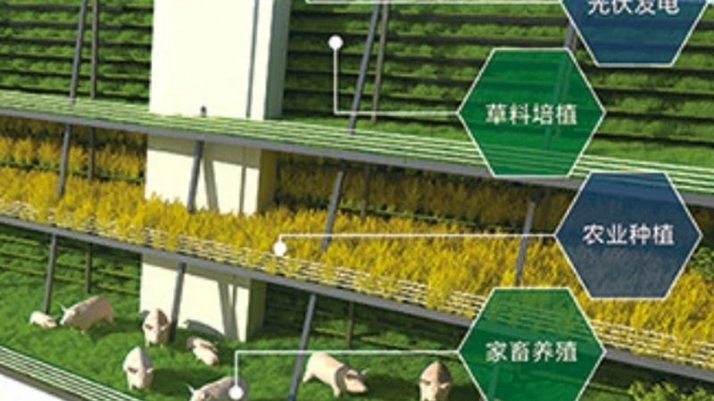 绿色食品标志能管多久？过了期还能用吗
