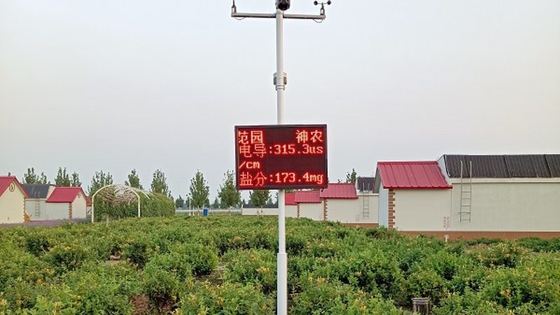 选址关键：揭秘农业公司粮食种植基地的黄金法则**