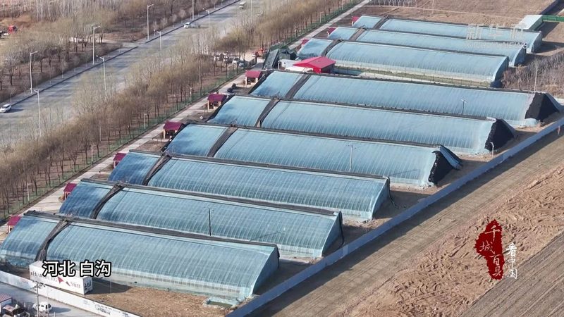 农业产业园盈利模式解析：策略与实操**