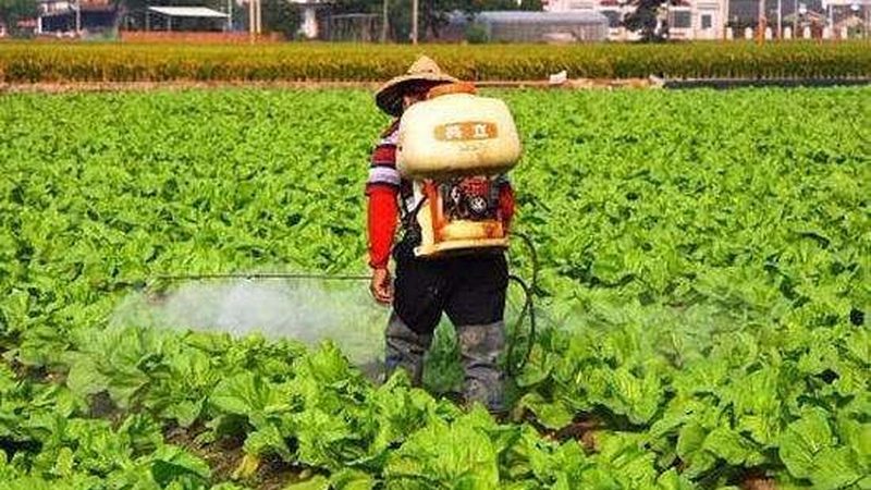 果蔬配送O2O平台参数对比
