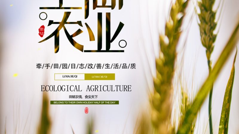 白领有机蔬菜配送服务的兴起与意义**